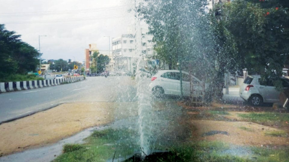 Instant fountain on T. Narasipur Road