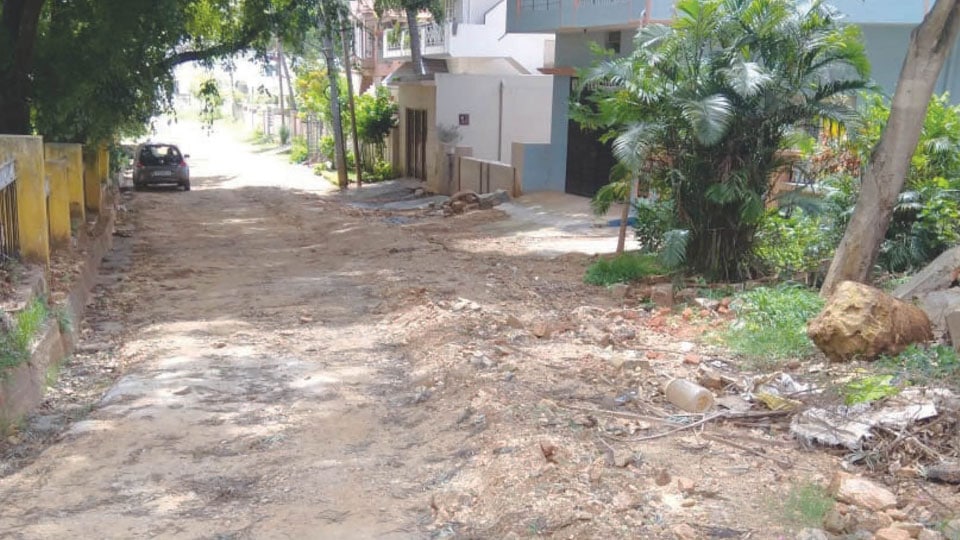 The pathetic condition of the road at Yadavagiri