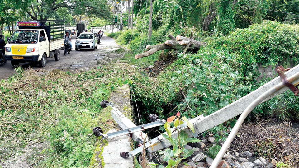 Power cables snapped at Brindavan Extension as tree falls