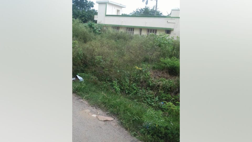 Weed-filled vacant site causing problems at Kuvempunagar