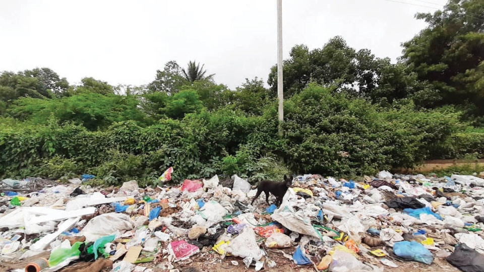 Garbage dumped near Bankers’ Colony needs to be cleared