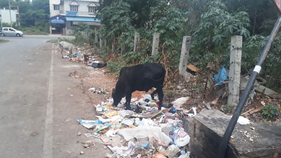 Plea to clear garbage at Rajivnagar