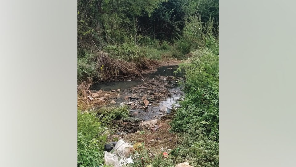 Overflowing sewage, overgrown plants, causing problems at Rajivnagar