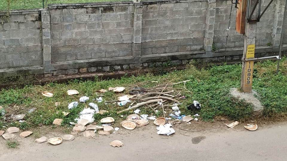Garbage throwing, a menace at Jayanagar