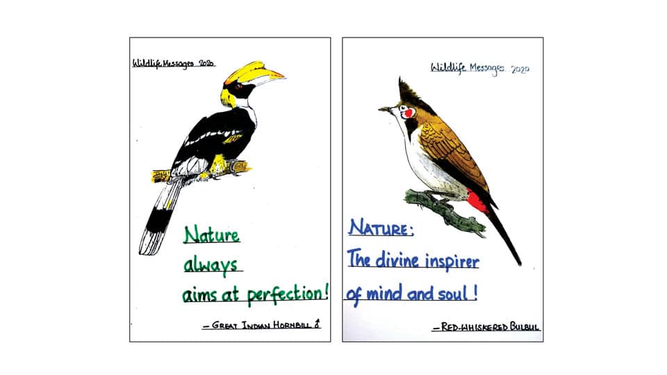 Avid Birder’s Wildlife Message Cards 2020