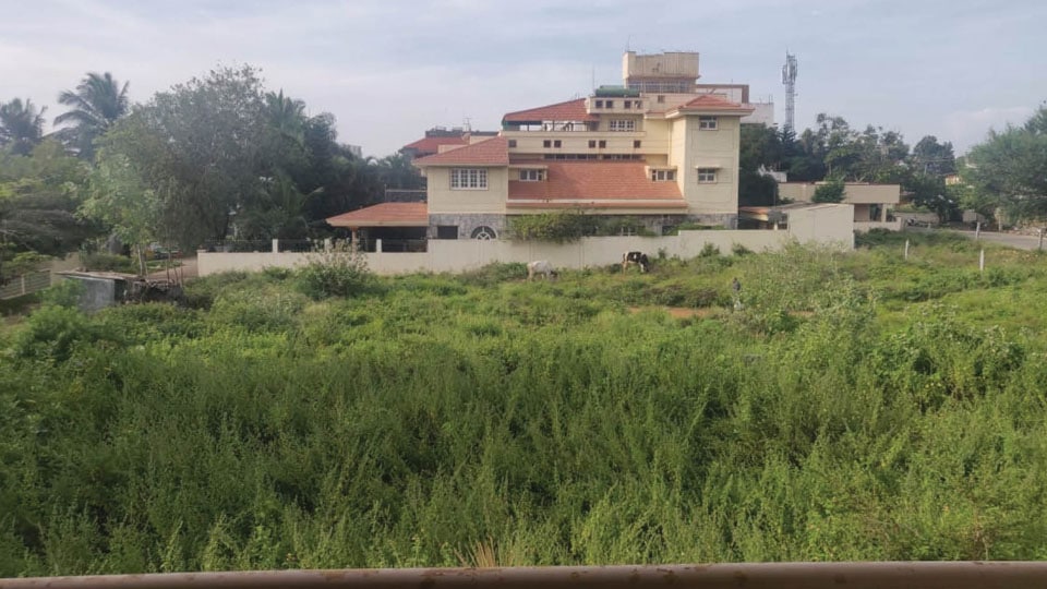 MUDA asks owners to keep vacant sites clean