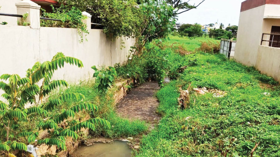 Plea to clean weed-filled drain at Aravindanagar