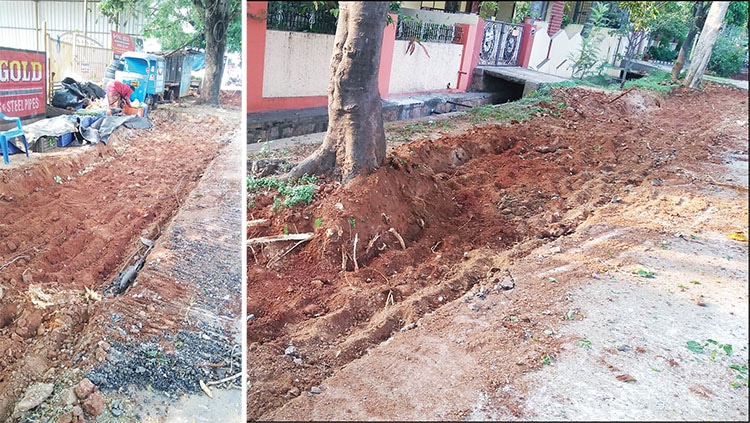 Plight of Street Vendors and Avenue Trees in J.P. Nagar - Star of Mysore