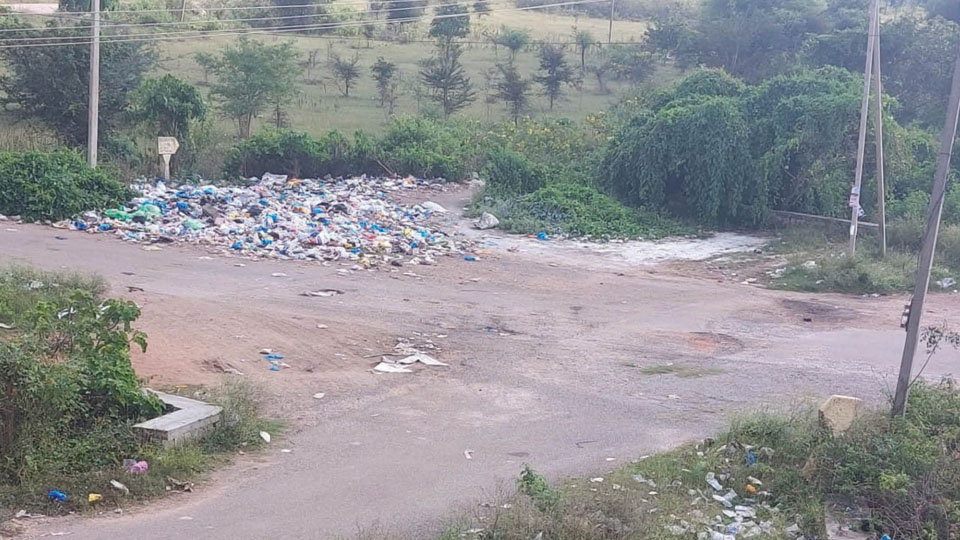 Plea to clear garbage dumped at Vijayanagar 4th Stage