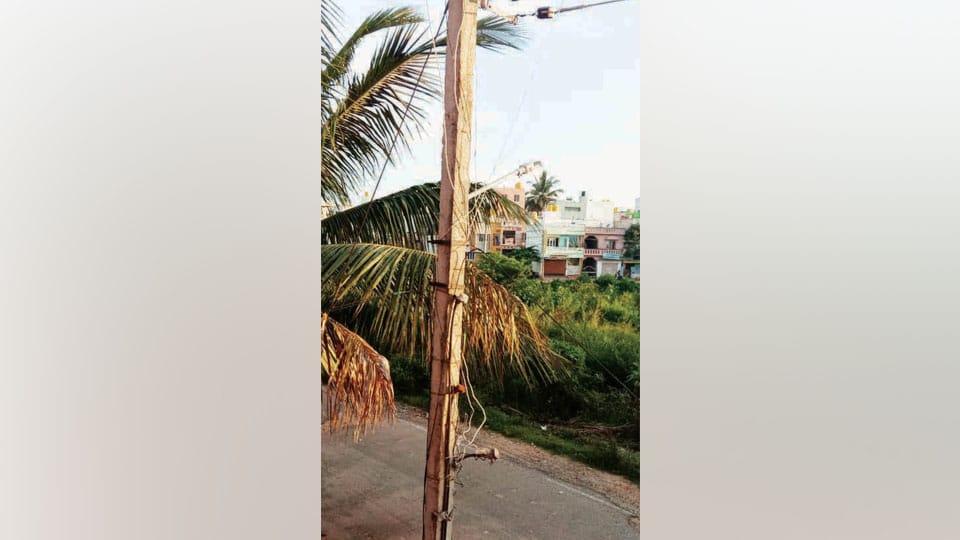 Plea to replace defunct streetlight at Rajivnagar