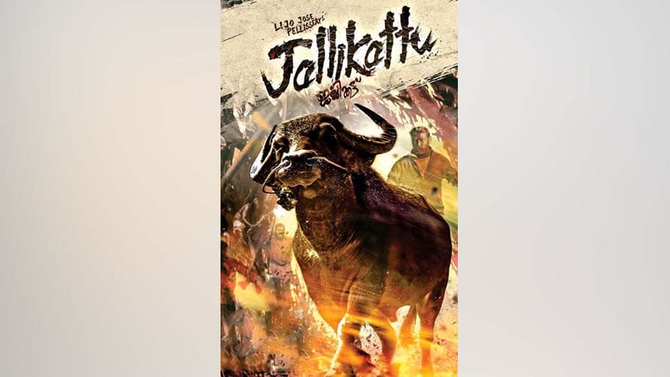Malayalam film ‘Jallikattu’ is India’s official Oscar entry