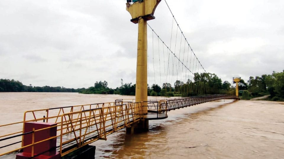 Fate of Kanive Bridge hangs in balance