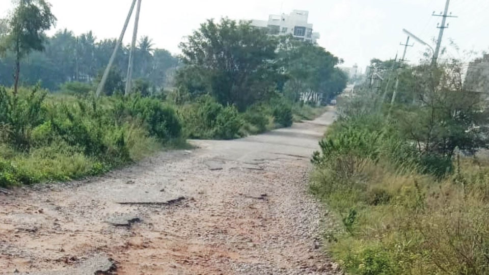 The pathetic condition of the main road in Vijayanagar
