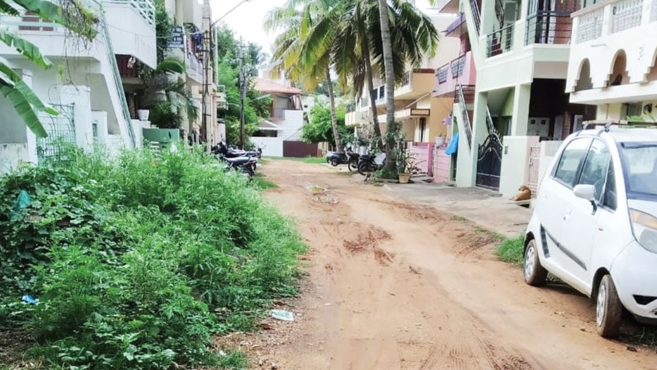 The pathetic condition of the road in Metagalli