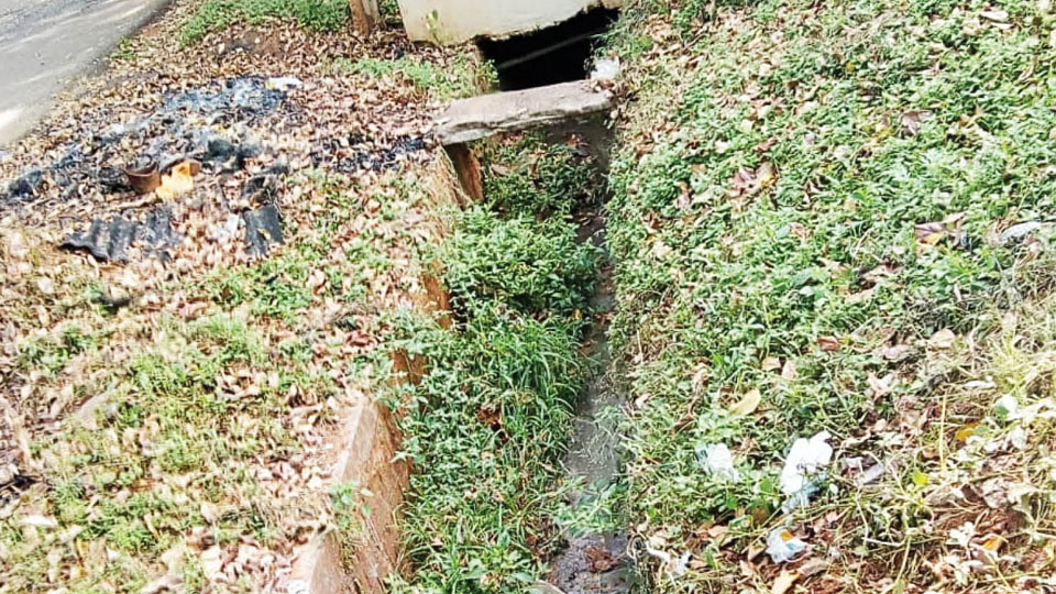 Sewage line connected to storm water drain at Vijayanagar