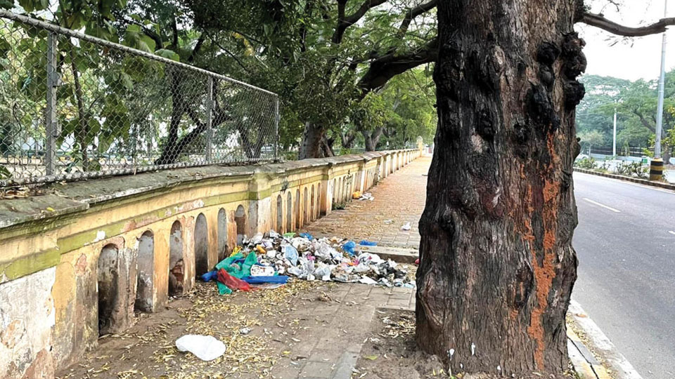 JLB Road footpath turns into public urinal, garbage dumping spot