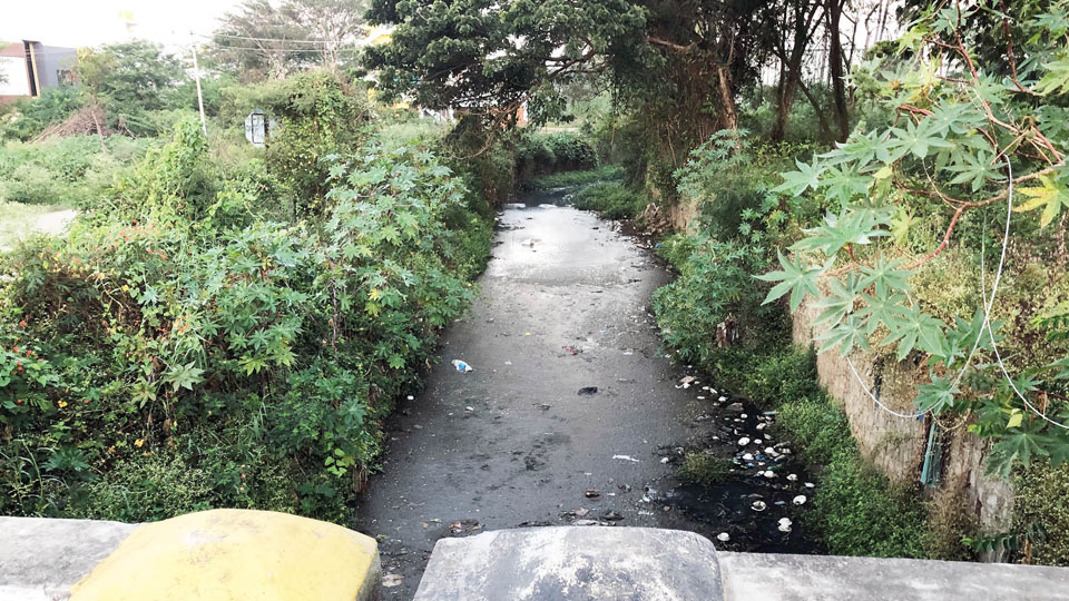 Sewage water in Raja Kaluve emanating foul smell at Anandanagar