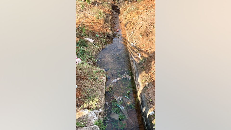 Plea to clean up clogged drain at Vijayanagar 1st Stage