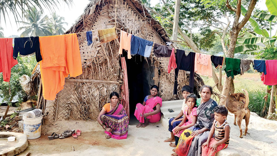 Shelterless persons in Srirangapatna village face harrowing times