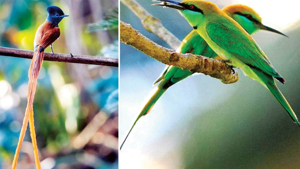 Maiden Bird Festival amidst BRT Sanctuary’s rich biodiversity