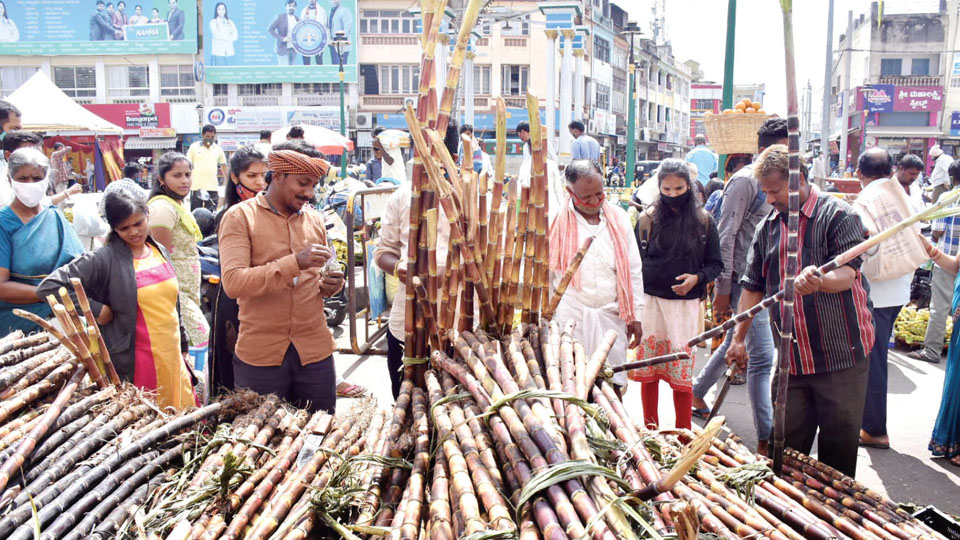 Makara Sankranti Markets abuzz with brisk business