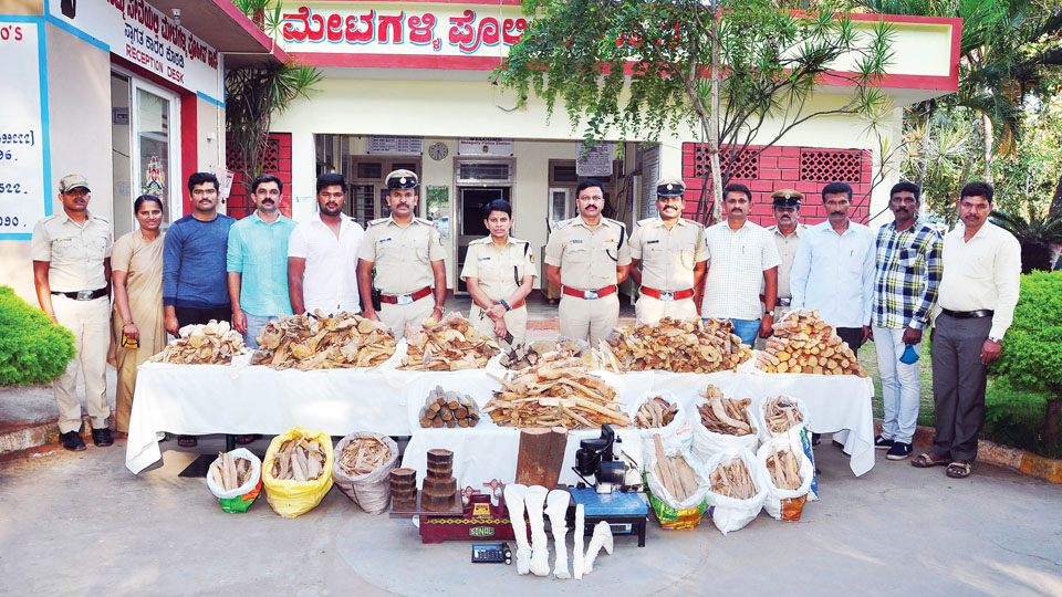 Sandalwood thieves, traders arrested
