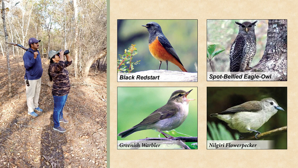 270 bird species and six new species sighted at Nagarahole