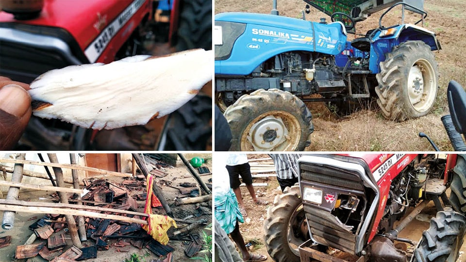 Elephant breaks tusk while goring tractor at Nagarahole
