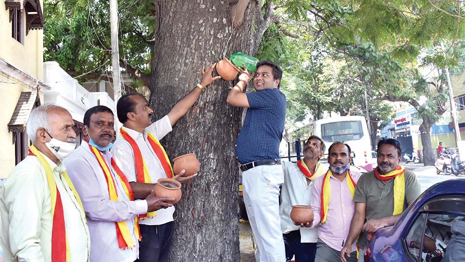 Vedike fixes pots atop trees to quench thirst of squirrels, birds