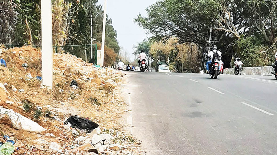 Stop dumping debris on this Road