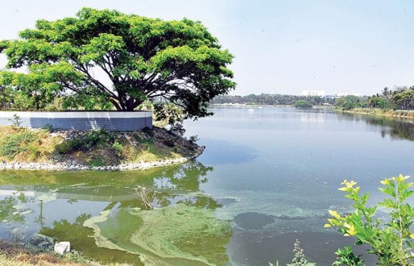 Hebbal Lake gets six aerators - Star of Mysore