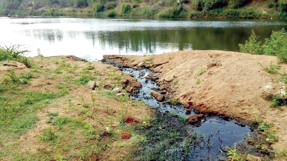 Cauvery, Kabini among Polluted Rivers