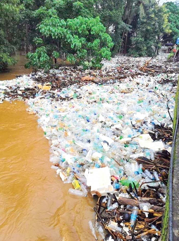 Plastic waste in River Cauvery