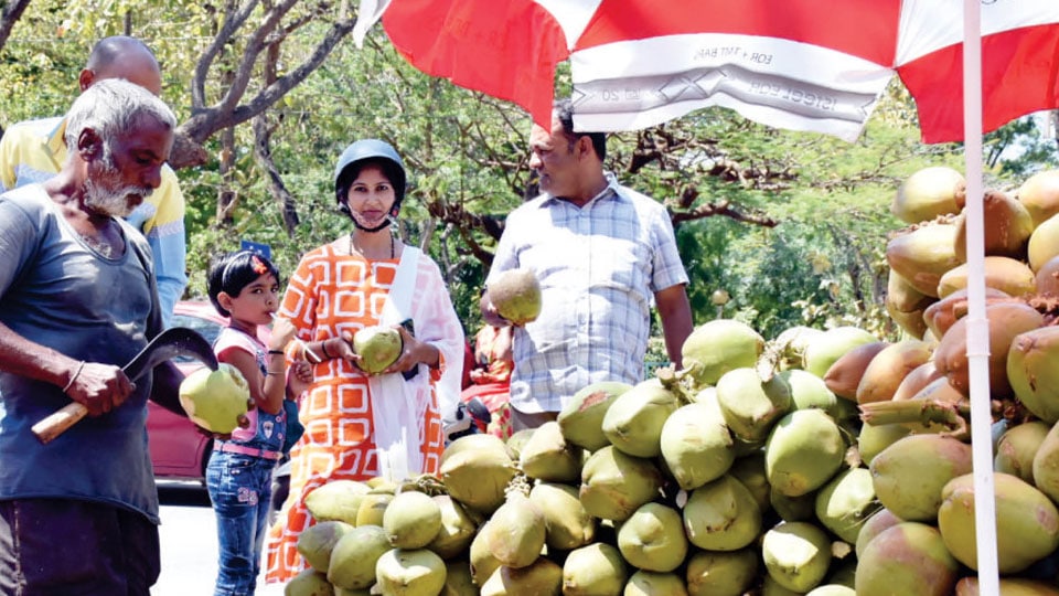 Demand for fruit juice, tender coconut and buttermilk goes up as temperature soars