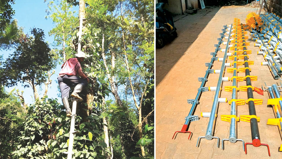 Aluminium ladders claim 31 lives in 5 years in Kodagu
