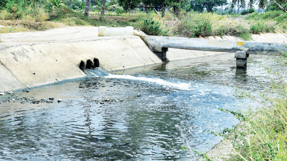 Industrial effluents from Mysuru choke Cauvery