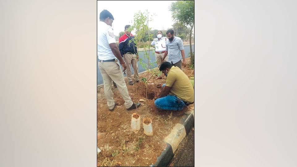 Traffic Cop turns environmentalist: Auto driver made to plant saplings he had destroyed