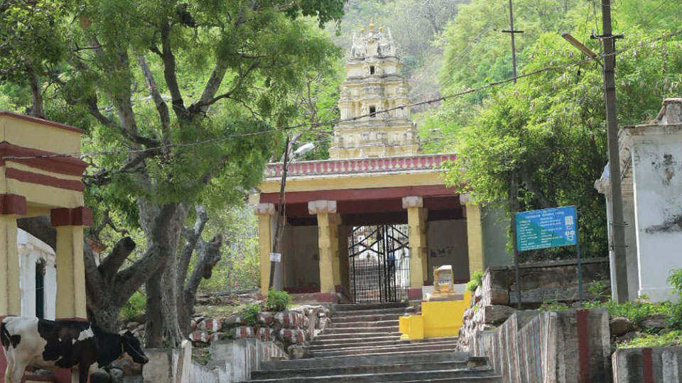 Entry of devotees to Chamundi Hill Temple banned