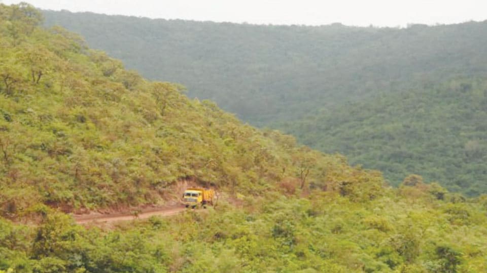 Iron Ore Mining: 1,000 acres of Forest to be cleared in Ballari