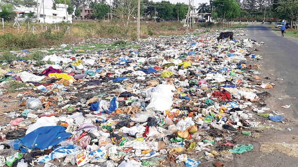 Sewage Farm-like waste dumping spot on city outskirts irks residents