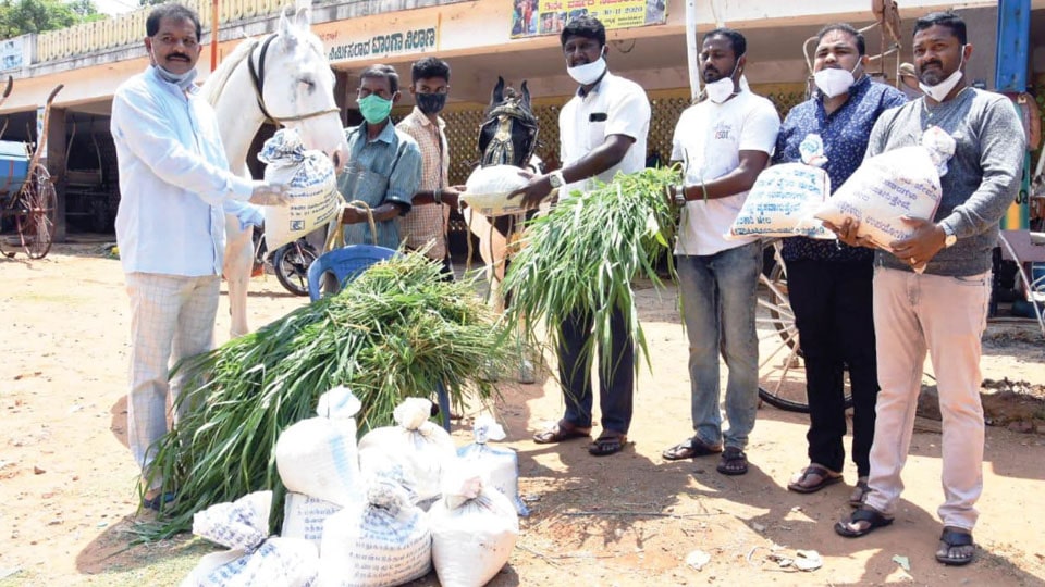 Green grass and horse gram distributed to tongawallas