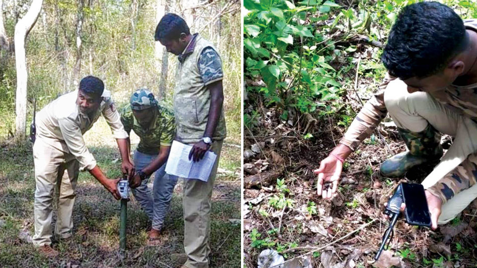 Tiger census begins sans volunteers at Nagarahole