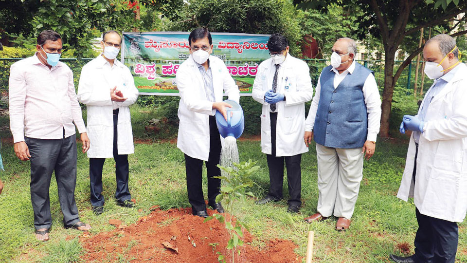 Apollo BGS Hospitals plants saplings at UoM premises