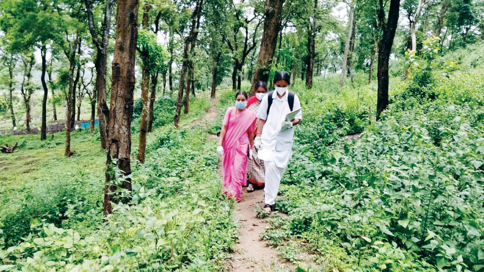 Healthcare Workers brave Wildlife to save Tribals from the Virus