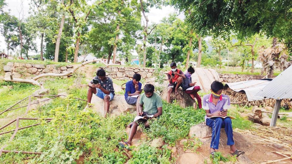Online classes, Offline problem: Students, teachers of Otterthotti in Chamarajanagar trek to hilltops for internet