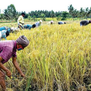Raithara Habba on Dec. 24