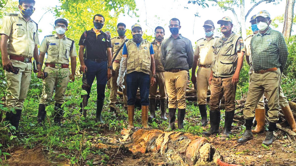 Carcass of tiger found in Nagarahole