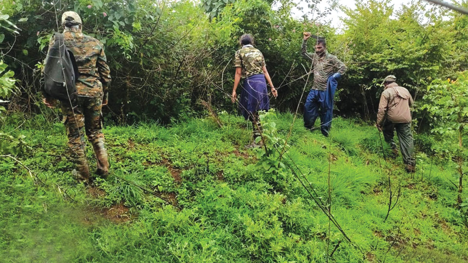 Increase in poaching during lockdown at Nagarahole