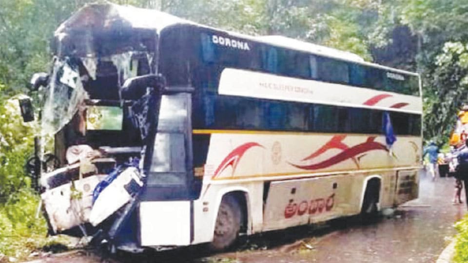 Driver killed as bus hits tree