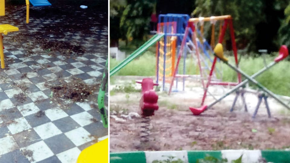 Pathetic condition of Park